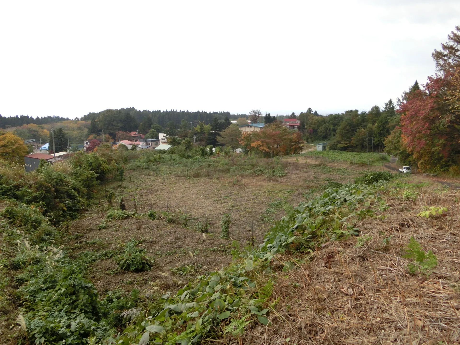 青森市田茂木野阿部野